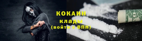 прущая мука Ельня