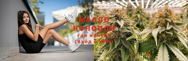 скорость Новозыбков