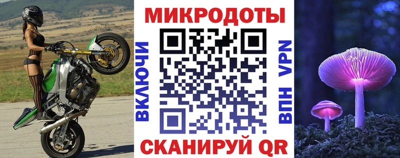 Псилоцибиновые грибы Psilocybe Приозерск